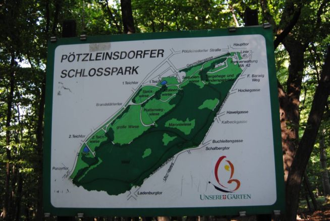 PoetzleinsdorferSchlosspark 157 654x438 - Kraftplätze & Kultbäume im Pötzleinsdorfer Schlosspark