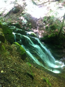 Wasser hlggeistklamm 224x300 - Wasser