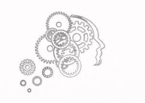 head 607479 640 300x212 - Die richtige Richtung im Jahreskreis: dreht er sich im oder entgegen dem Uhrzeigersinn?