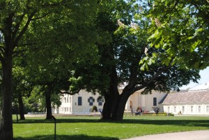 Kult & Kraftplätze im südlichen Niederösterreich Laxenburg 110515 011 300x201 - Kult & Kraftplätze im südlichen Niederösterreich