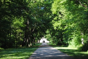 Parks & Landschaften Laxenburg 110515 055 300x201 - Parks & Landschaften