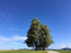 Kult & Kraftplätze in Oberösterreich LindenBadKreuzen 300x225 - Kult & Kraftplätze in Oberösterreich