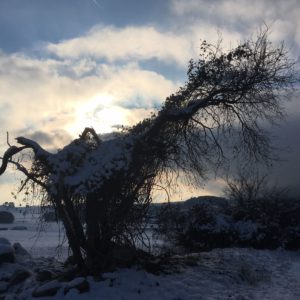 Dezembergedanken Dezember 008 300x300 - Dezembergedanken