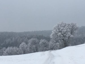 Jännergedanken Jaennergedanken 300x225 - Jännergedanken