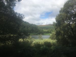 Glendalough: Besuch im Tal der zwei Seen - mit dem Käsehobel in Irland img 3589 300x225 - Glendalough: Besuch im Tal der zwei Seen - mit dem Käsehobel in Irland