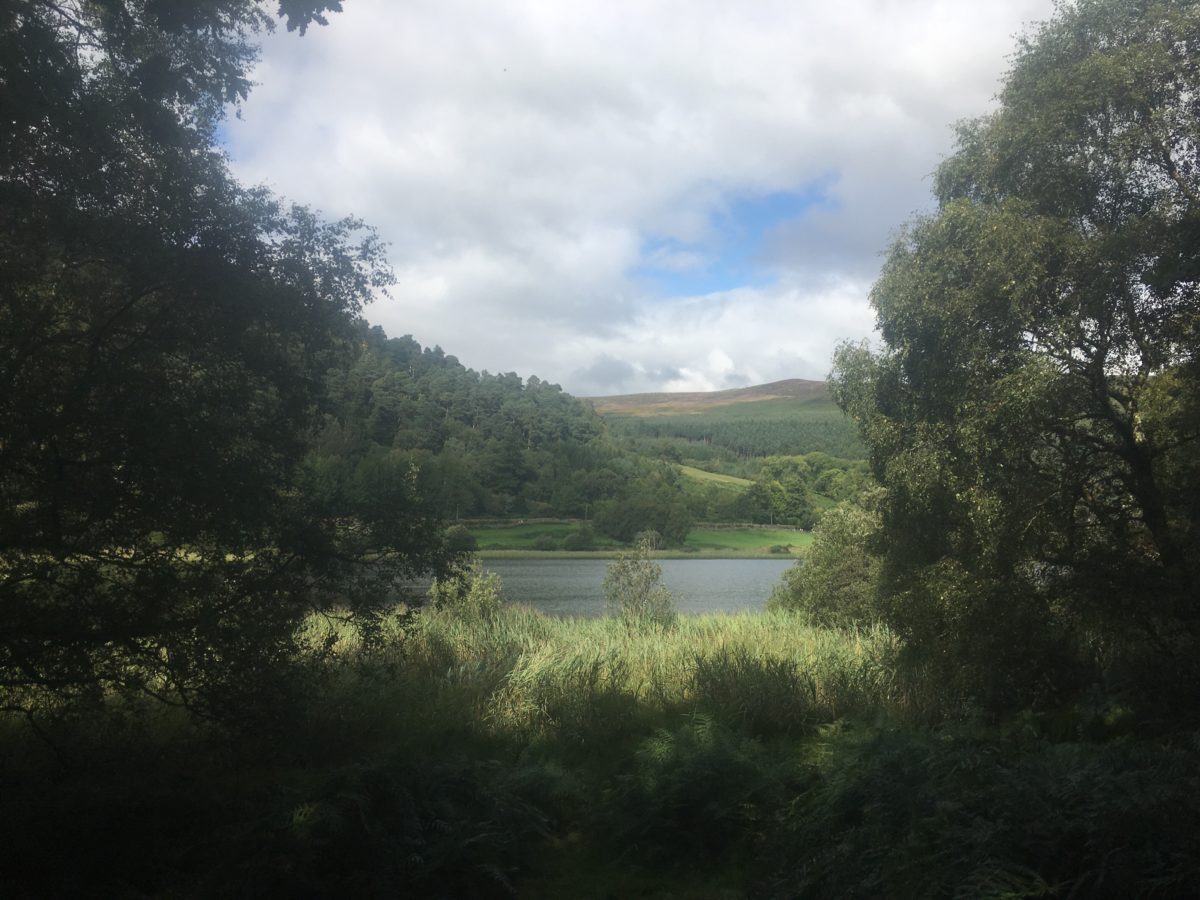 img 3589 - Glendalough: Besuch im Tal der zwei Seen - mit dem Käsehobel in Irland