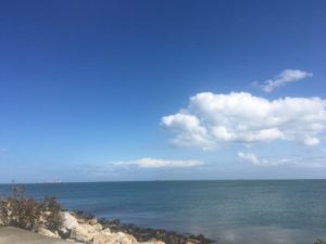 Über üppigen Tee, Heilige Quellen und good ol´ Dublin - mit dem Käsehobel in Irland img 3862 300x225 - Über üppigen Tee, Heilige Quellen und good ol´ Dublin - mit dem Käsehobel in Irland