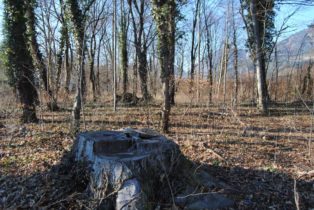 Dolmen Payerbach 007 314x210 - Der vergessene Dolmen von Payerbach