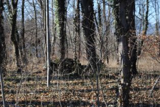 Dolmen Payerbach 008 314x210 - Der vergessene Dolmen von Payerbach