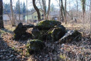 Dolmen Payerbach 015 315x210 - Der vergessene Dolmen von Payerbach