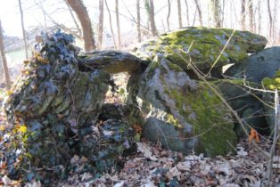 Dolmen Payerbach 032 314x210 - Der vergessene Dolmen von Payerbach
