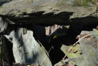 Dolmen Payerbach 036 314x210 - Der vergessene Dolmen von Payerbach