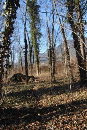 Dolmen Payerbach 045 293x438 - Der vergessene Dolmen von Payerbach