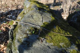 Dolmen Payerbach 047 314x210 - Der vergessene Dolmen von Payerbach