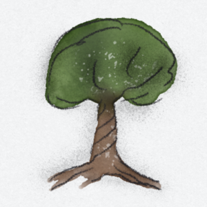 Baumbesonderheiten: gedrehter Stamm