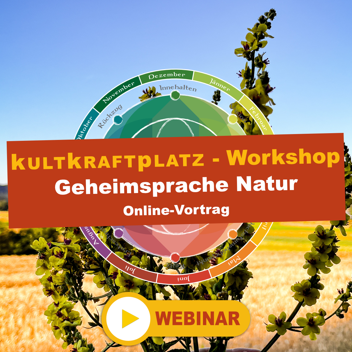 KKP_PflanzenzeigerWebinar