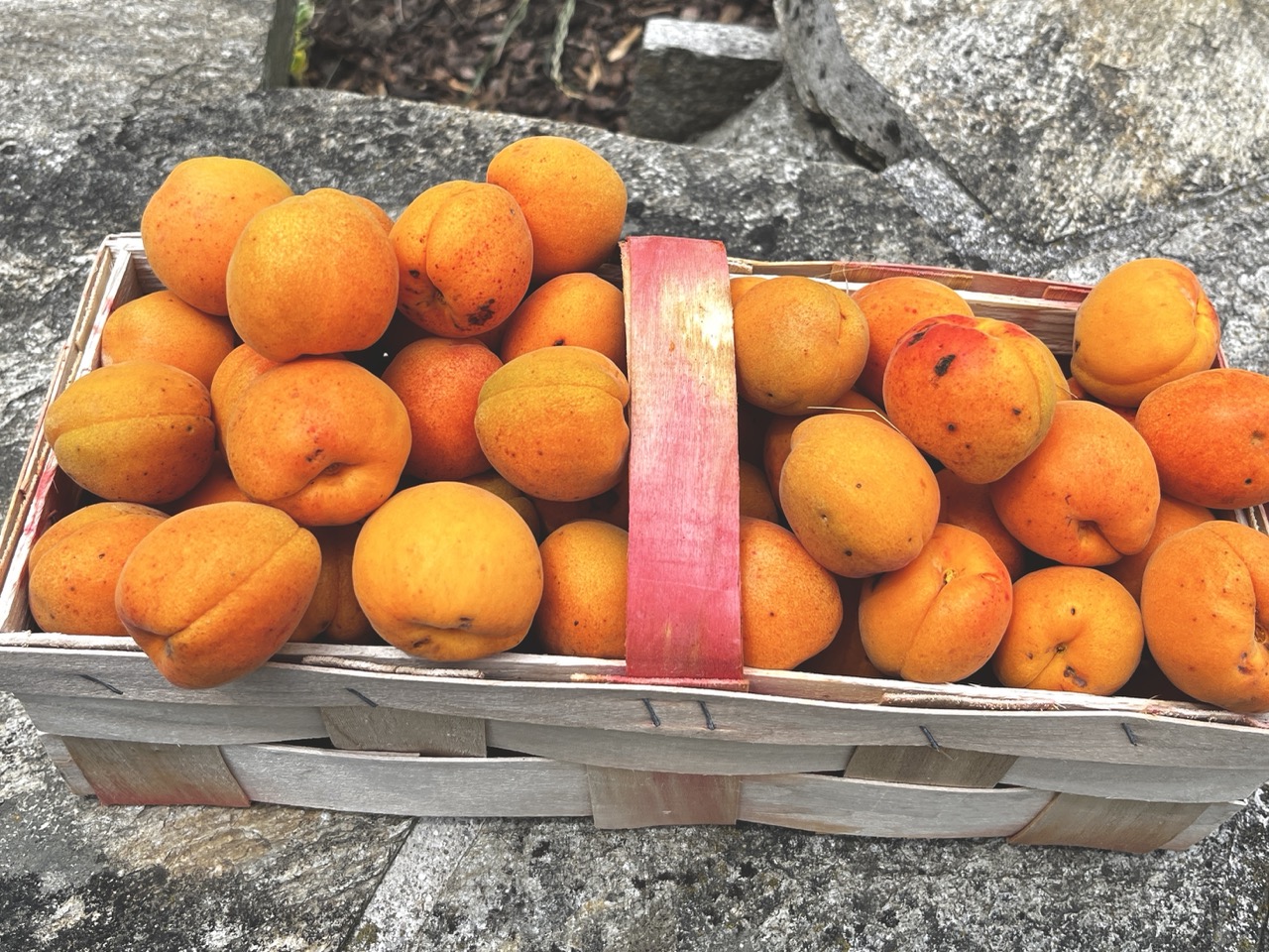 Die Farbe Orange – warum sich diese Farbe bis heute nicht vereinnahmen lässt